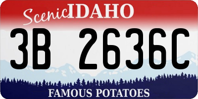 ID license plate 3B2636C