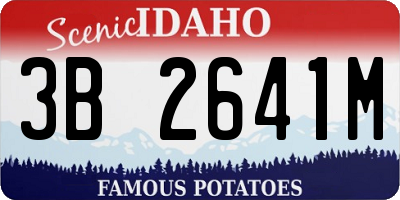 ID license plate 3B2641M