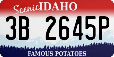 ID license plate 3B2645P