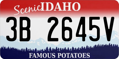 ID license plate 3B2645V