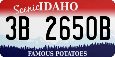 ID license plate 3B2650B
