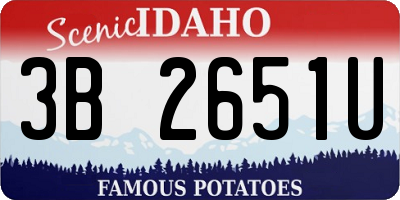 ID license plate 3B2651U