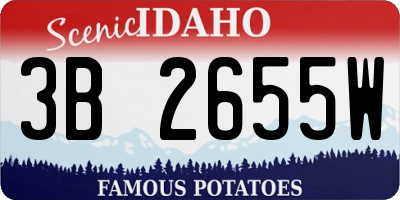 ID license plate 3B2655W