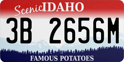 ID license plate 3B2656M