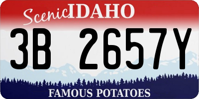 ID license plate 3B2657Y