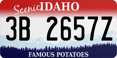 ID license plate 3B2657Z