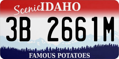 ID license plate 3B2661M