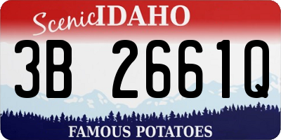 ID license plate 3B2661Q