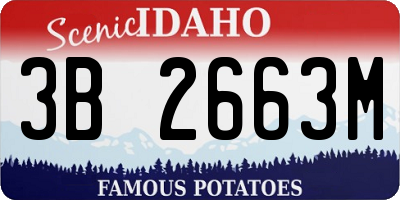 ID license plate 3B2663M