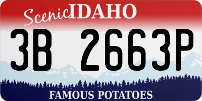ID license plate 3B2663P