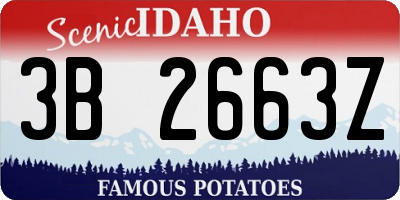 ID license plate 3B2663Z