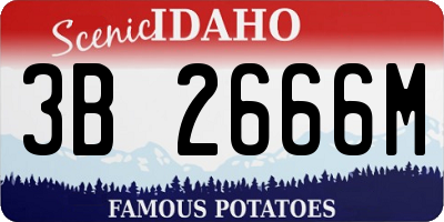 ID license plate 3B2666M