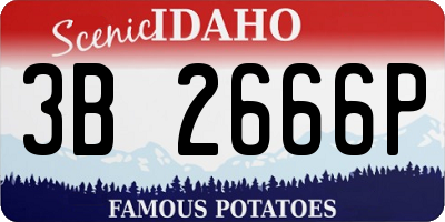 ID license plate 3B2666P