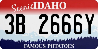 ID license plate 3B2666Y