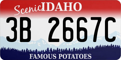 ID license plate 3B2667C