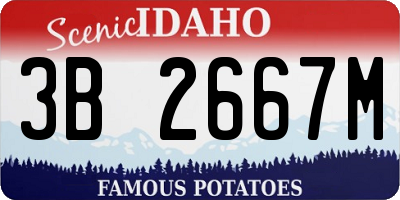 ID license plate 3B2667M