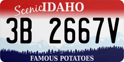 ID license plate 3B2667V
