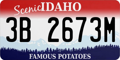 ID license plate 3B2673M