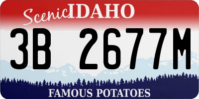 ID license plate 3B2677M