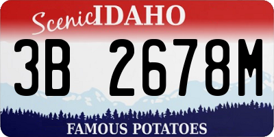 ID license plate 3B2678M