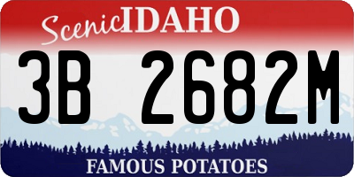 ID license plate 3B2682M