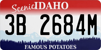 ID license plate 3B2684M