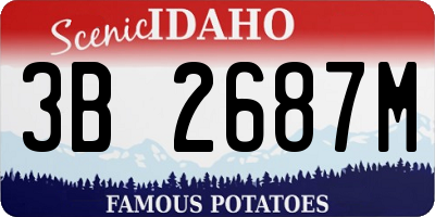 ID license plate 3B2687M