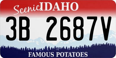 ID license plate 3B2687V