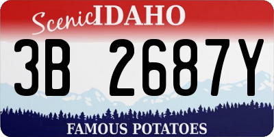 ID license plate 3B2687Y