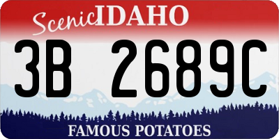 ID license plate 3B2689C