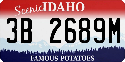 ID license plate 3B2689M