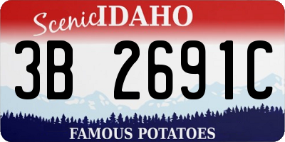 ID license plate 3B2691C