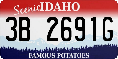 ID license plate 3B2691G