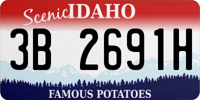 ID license plate 3B2691H