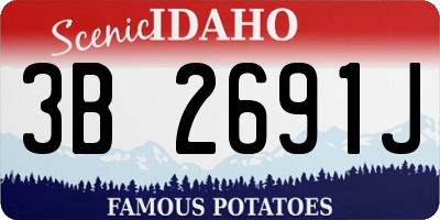 ID license plate 3B2691J