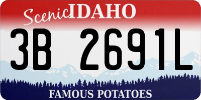 ID license plate 3B2691L