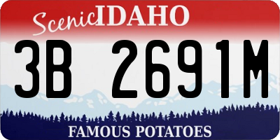 ID license plate 3B2691M