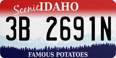 ID license plate 3B2691N
