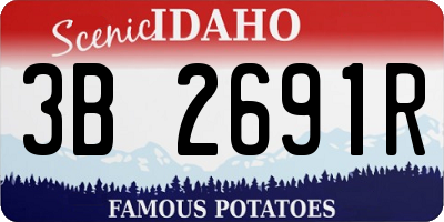 ID license plate 3B2691R