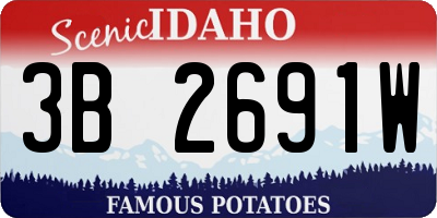 ID license plate 3B2691W