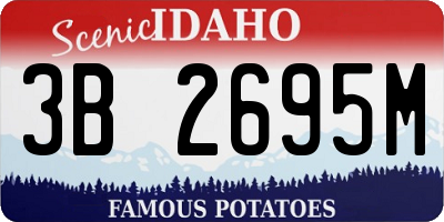 ID license plate 3B2695M