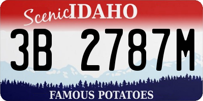 ID license plate 3B2787M