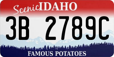 ID license plate 3B2789C
