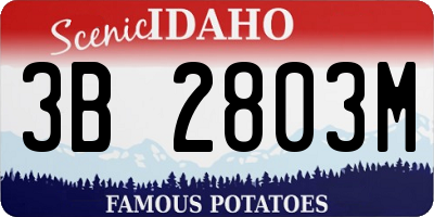ID license plate 3B2803M