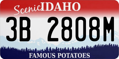 ID license plate 3B2808M