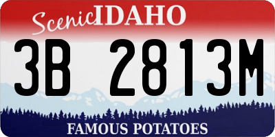 ID license plate 3B2813M