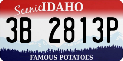 ID license plate 3B2813P
