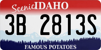 ID license plate 3B2813S