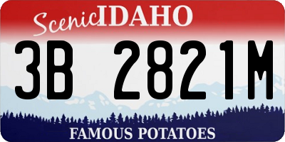 ID license plate 3B2821M