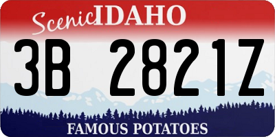 ID license plate 3B2821Z